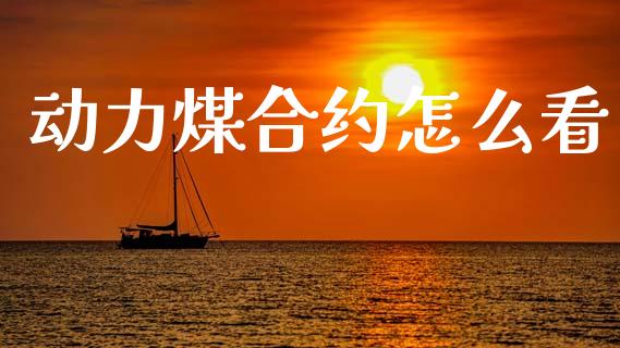 动力煤合约怎么看_https://m.jnlaobingbanjia.com_全球市场_第1张