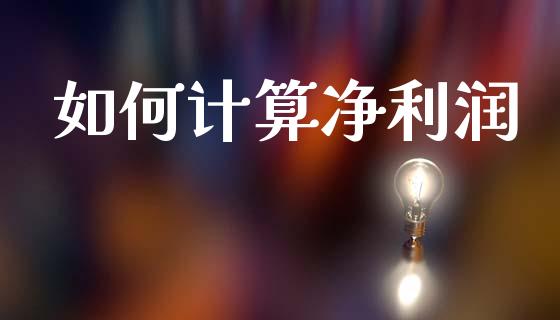 如何计算净利润_https://m.jnlaobingbanjia.com_基金市场_第1张