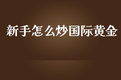 新手怎么炒国际黄金_https://m.jnlaobingbanjia.com_股市新闻_第1张