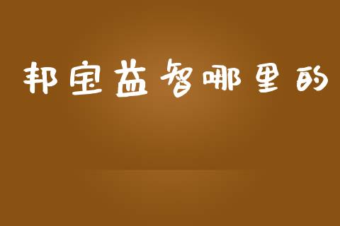 邦宝益智哪里的_https://m.jnlaobingbanjia.com_金融监管_第1张