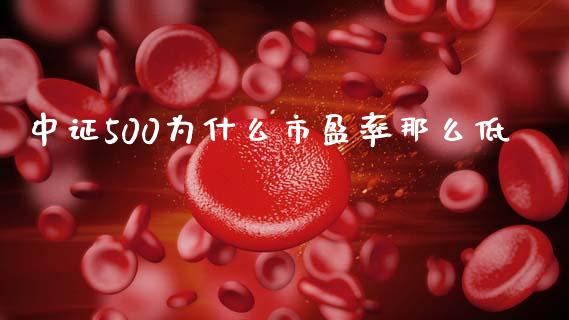 中证500为什么市盈率那么低_https://m.jnlaobingbanjia.com_区块链_第1张