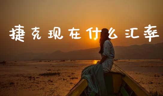 捷克现在什么汇率_https://m.jnlaobingbanjia.com_区块链_第1张