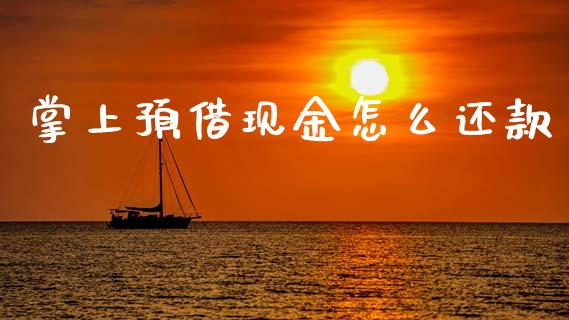 掌上预借现金怎么还款_https://m.jnlaobingbanjia.com_全球市场_第1张