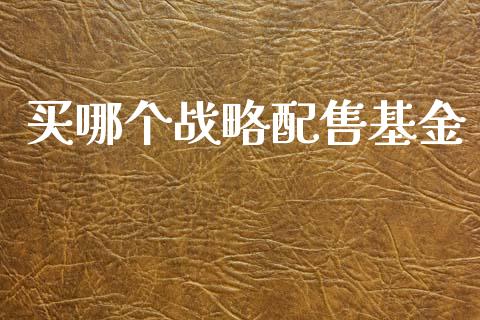 买哪个战略配售基金_https://m.jnlaobingbanjia.com_区块链_第1张