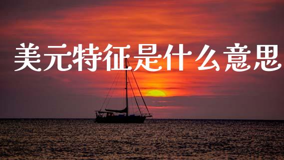 美元特征是什么意思_https://m.jnlaobingbanjia.com_全球市场_第1张