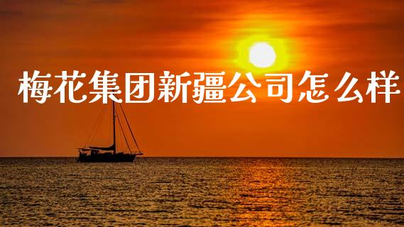 梅花集团新疆公司怎么样_https://m.jnlaobingbanjia.com_金融监管_第1张