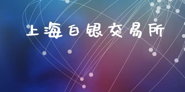 上海白银交易所_https://m.jnlaobingbanjia.com_理财规划_第1张