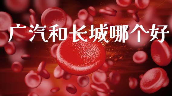 广汽和长城哪个好_https://m.jnlaobingbanjia.com_基金市场_第1张
