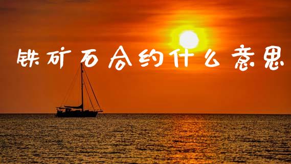 铁矿石合约什么意思_https://m.jnlaobingbanjia.com_基金市场_第1张