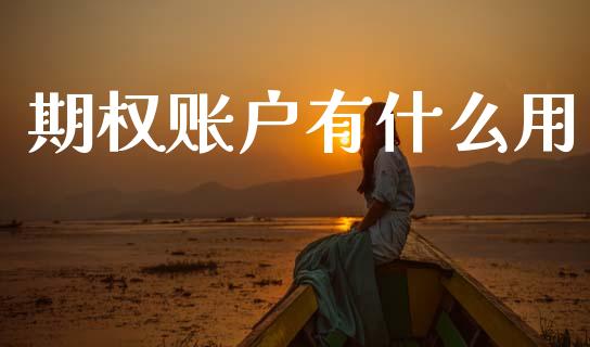 期权账户有什么用_https://m.jnlaobingbanjia.com_股市新闻_第1张