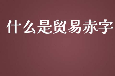 什么是贸易赤字_https://m.jnlaobingbanjia.com_基金市场_第1张