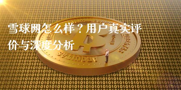 雪球网怎么样？用户真实评价与深度分析_https://m.jnlaobingbanjia.com_全球市场_第1张