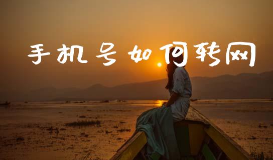 手机号如何转网_https://m.jnlaobingbanjia.com_理财规划_第1张
