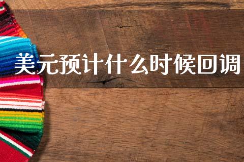 美元预计什么时候回调_https://m.jnlaobingbanjia.com_理财规划_第1张