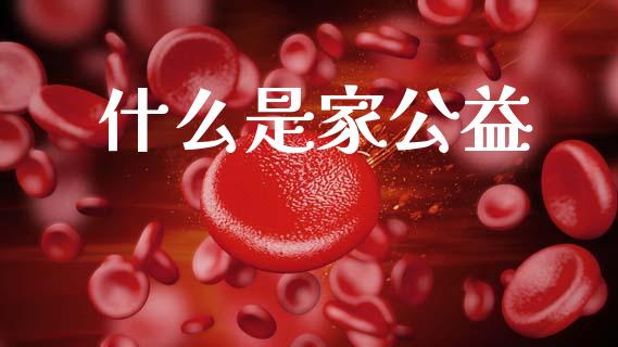 什么是家公益_https://m.jnlaobingbanjia.com_金融监管_第1张