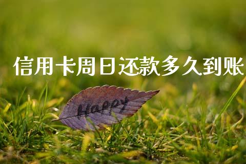 信用卡周日还款多久到账_https://m.jnlaobingbanjia.com_区块链_第1张
