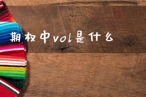 期权中vol是什么_https://m.jnlaobingbanjia.com_区块链_第1张