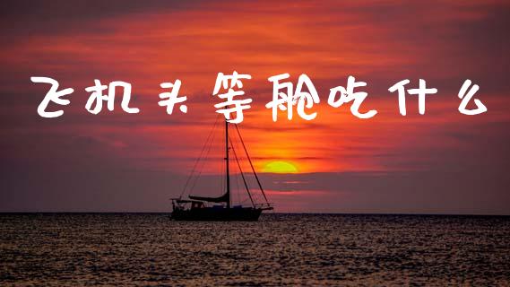 飞机头等舱吃什么_https://m.jnlaobingbanjia.com_基金市场_第1张