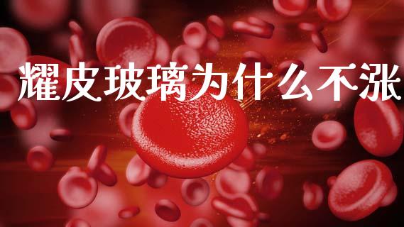 耀皮玻璃为什么不涨_https://m.jnlaobingbanjia.com_区块链_第1张