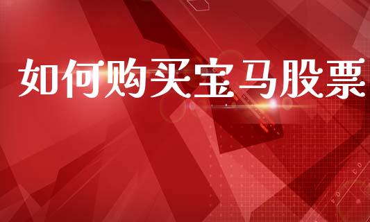 如何购买宝马股票_https://m.jnlaobingbanjia.com_基金市场_第1张