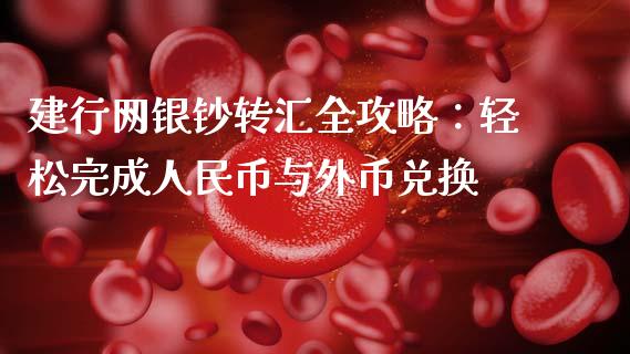 建行网银钞转汇全攻略：轻松完成人民币与外币兑换_https://m.jnlaobingbanjia.com_全球市场_第1张