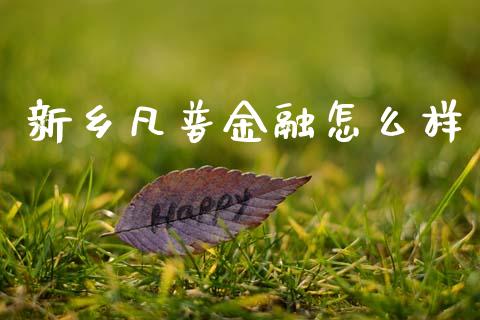 新乡凡普金融怎么样_https://m.jnlaobingbanjia.com_金融监管_第1张