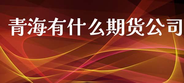 青海有什么期货公司_https://m.jnlaobingbanjia.com_股市新闻_第1张