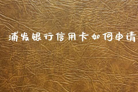 浦发银行信用卡如何申请_https://m.jnlaobingbanjia.com_股市新闻_第1张
