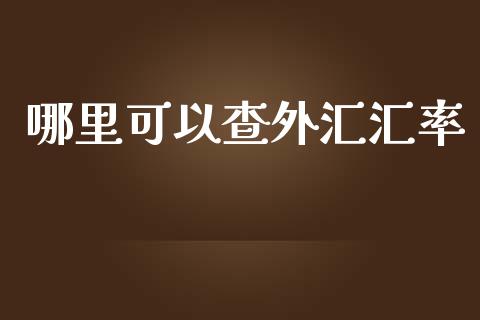 哪里可以查外汇汇率_https://m.jnlaobingbanjia.com_全球市场_第1张