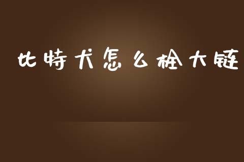 比特犬怎么栓大链_https://m.jnlaobingbanjia.com_金融监管_第1张