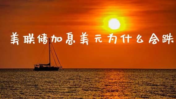 美联储加息美元为什么会跌_https://m.jnlaobingbanjia.com_股市新闻_第1张