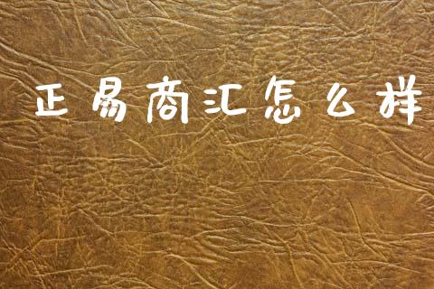 正易商汇怎么样_https://m.jnlaobingbanjia.com_金融监管_第1张
