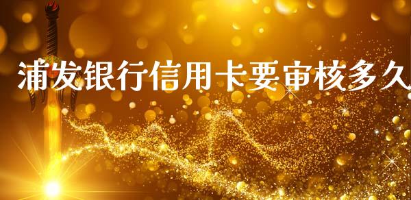 浦发银行信用卡要审核多久_https://m.jnlaobingbanjia.com_全球市场_第1张