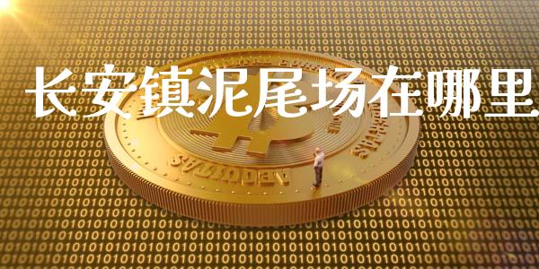 长安镇泥尾场在哪里_https://m.jnlaobingbanjia.com_股市新闻_第1张