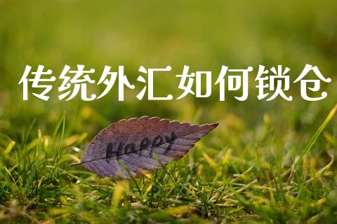 传统外汇如何锁仓_https://m.jnlaobingbanjia.com_理财规划_第1张