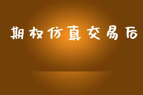 期权仿真交易后_https://m.jnlaobingbanjia.com_区块链_第1张