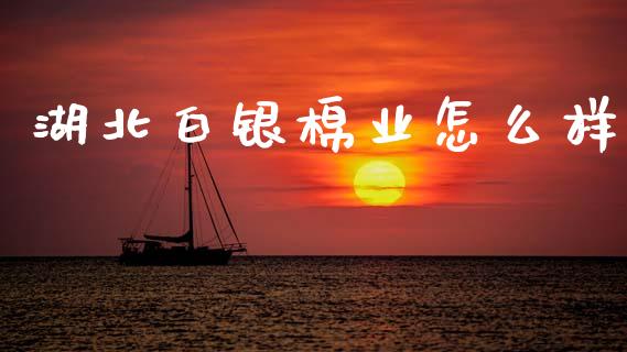湖北白银棉业怎么样_https://m.jnlaobingbanjia.com_理财规划_第1张