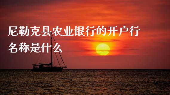 尼勒克县农业银行的开户行名称是什么_https://m.jnlaobingbanjia.com_区块链_第1张