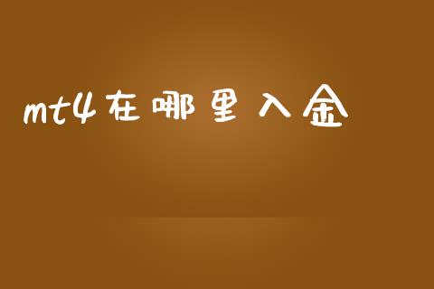mt4在哪里入金_https://m.jnlaobingbanjia.com_理财规划_第1张