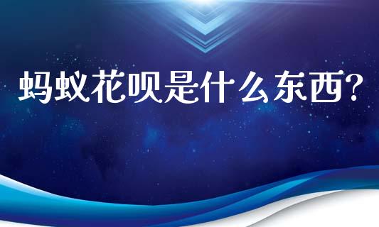 蚂蚁花呗是什么东西?_https://m.jnlaobingbanjia.com_基金市场_第1张