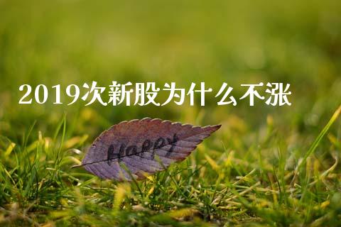 2019次新股为什么不涨_https://m.jnlaobingbanjia.com_理财规划_第1张
