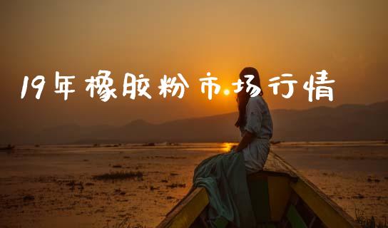 19年橡胶粉市场行情_https://m.jnlaobingbanjia.com_金融监管_第1张