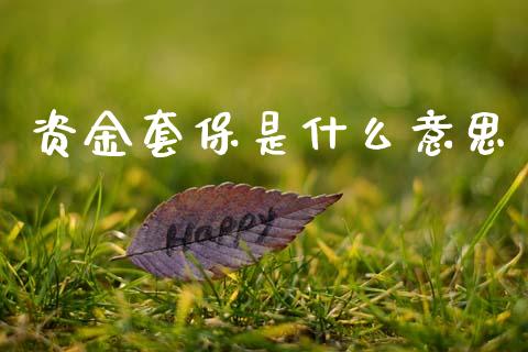 资金套保是什么意思_https://m.jnlaobingbanjia.com_金融监管_第1张