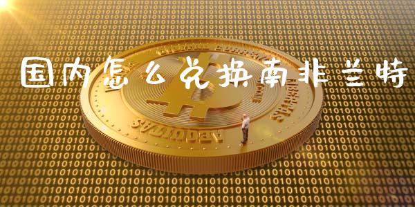 国内怎么兑换南非兰特_https://m.jnlaobingbanjia.com_基金市场_第1张