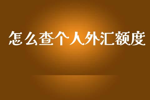 怎么查个人外汇额度_https://m.jnlaobingbanjia.com_金融监管_第1张