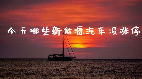 今天哪些新能源汽车没涨停_https://m.jnlaobingbanjia.com_区块链_第1张