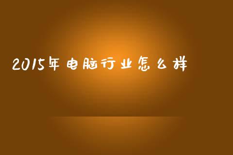 2015年电脑行业怎么样_https://m.jnlaobingbanjia.com_基金市场_第1张