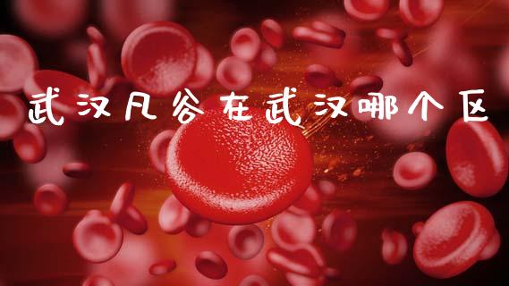 武汉凡谷在武汉哪个区_https://m.jnlaobingbanjia.com_区块链_第1张