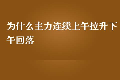 为什么主力连续上午拉升下午回落_https://m.jnlaobingbanjia.com_理财规划_第1张