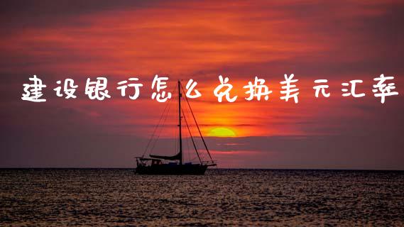 建设银行怎么兑换美元汇率_https://m.jnlaobingbanjia.com_金融监管_第1张